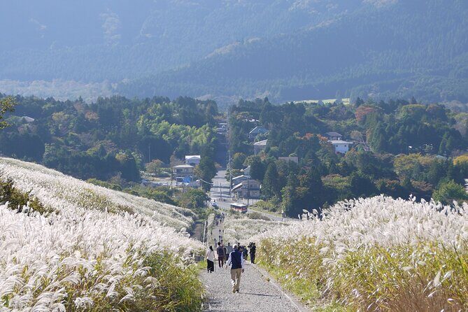 Easygoing Nature Walk in Hakone Tour - An Introduction to Hakone’s Natural Charm
