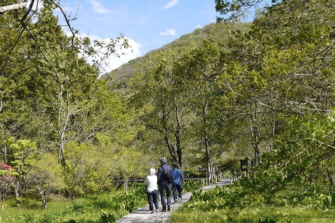 Easygoing Nature Walk in Hakone Tour - The Sum Up