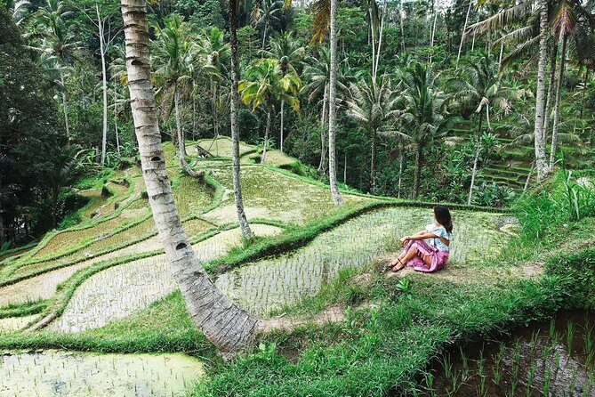 Eat Pray Love Bali Private Tour Full Day - Exploring the Itinerary in Detail