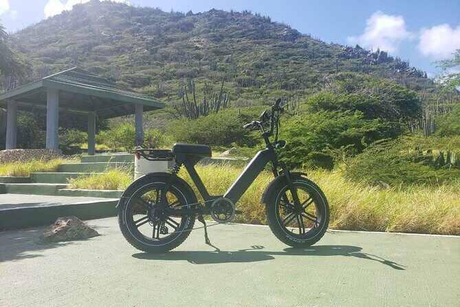 Ebike Rentals in Aruba - Final Thoughts: Is This the Right Choice for You?