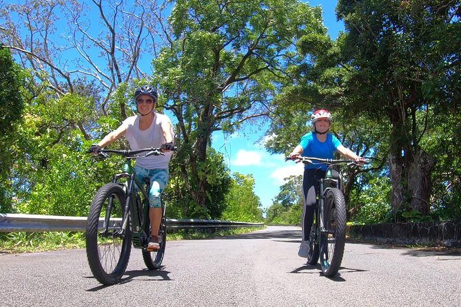 eBike Tour Honolulu Rainforest - What Makes This Tour Special?