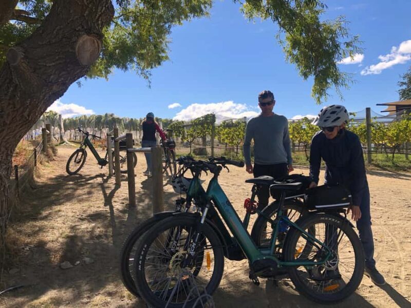 ebike tour lake Hawea river track to Wanaka - What to Expect from the Lake Hawea River Track Ebike Tour
