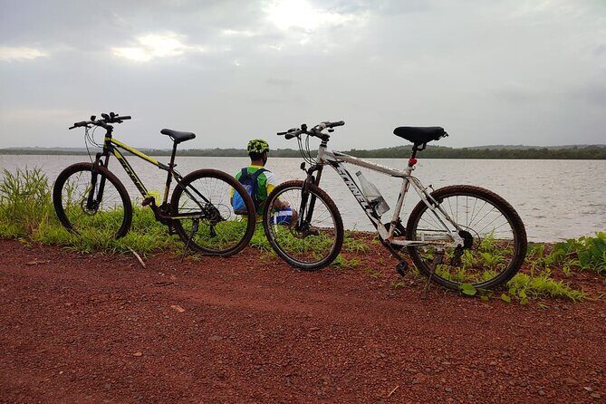 Ebike Tour of Chorao Island with Cycling Zens - The Sum Up: Is It Worth It?