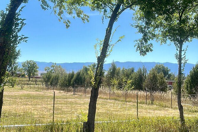 EBIKE Winery Tour in Penrose, Colorado: Penrose Uncorked - Who Will Love This Tour?