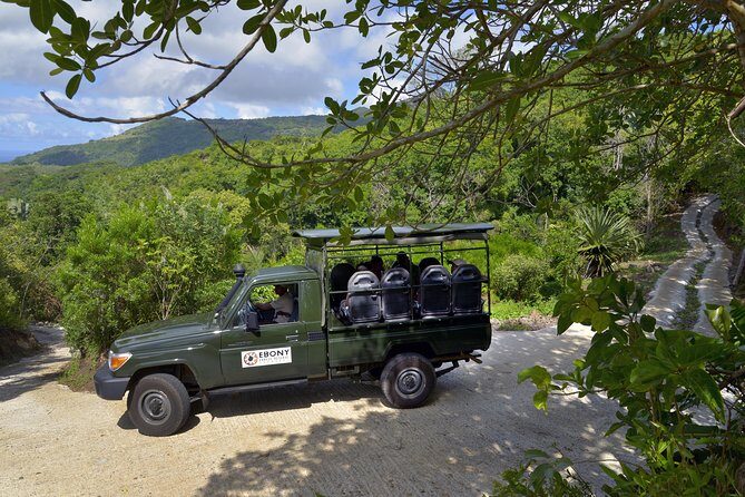 Ebony Forest Reserve Chamarel - Take a Hike Tour - Summary