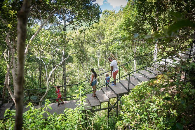 Ebony Forest Reserve Chamarel - Take a Hike Tour - Frequently Asked Questions