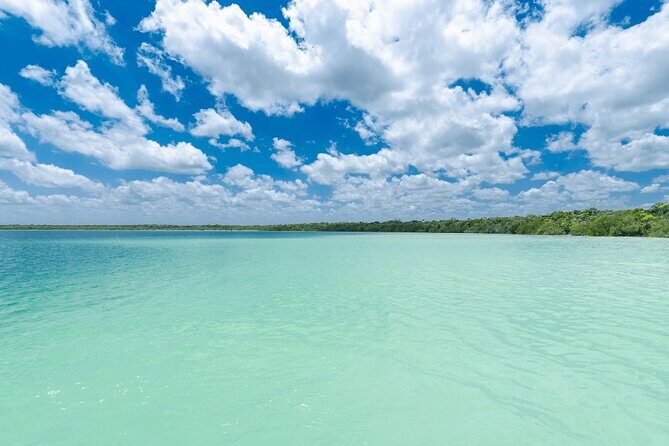Eco Adventure At 3 Cenotes & 1 Lagoon ! From Cancun & Riviera - Who Would Love This Tour?
