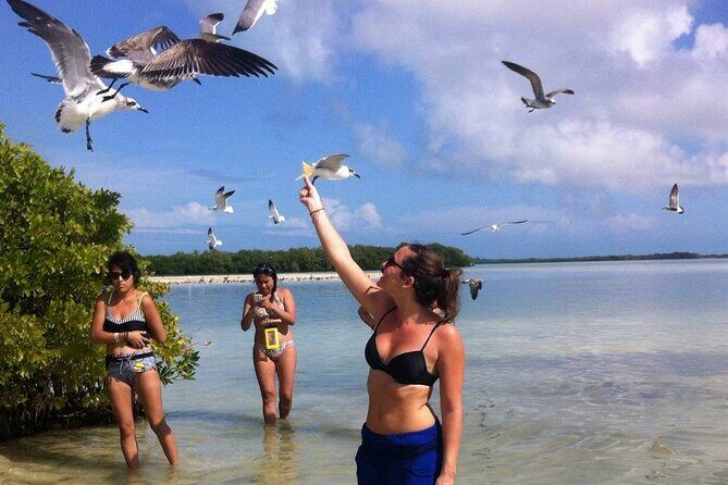 ECO-Adventure at Holbox Island and Cenote Yalahau from Cancun & Playa Del Carmen - Who Would Appreciate This Tour?