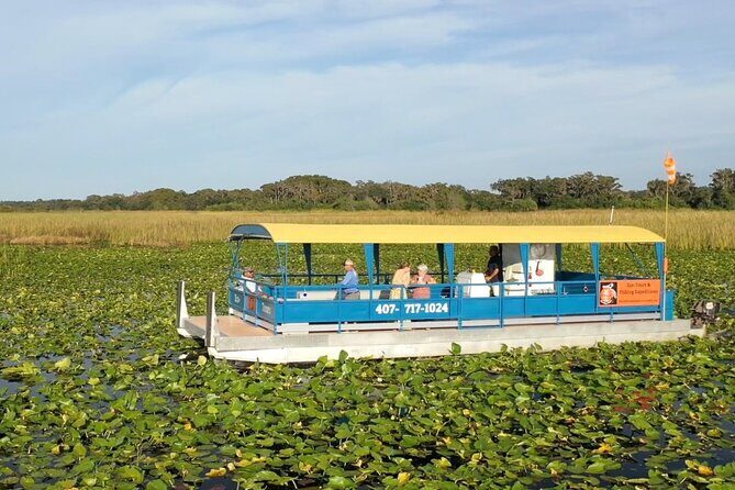 Eco Adventure Scenic Wildlife Boat Cruise - Analyzing the Value and Overall Experience