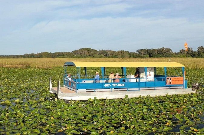 Eco Adventure Scenic Wildlife Boat Cruise - Who Should Consider This Tour?