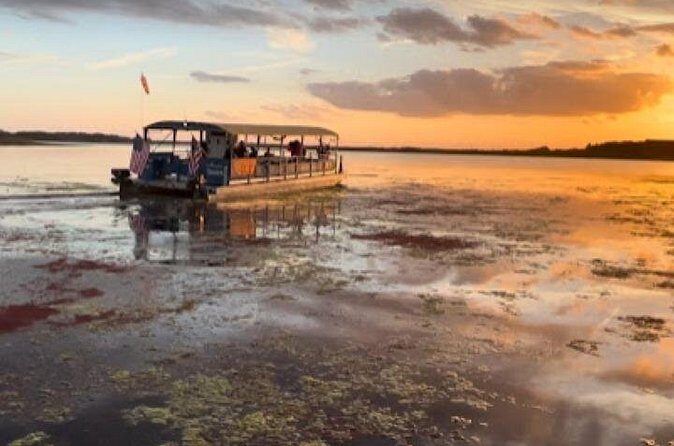 Eco Adventure Scenic Wildlife Boat Cruise - The Sum Up: Is This the Right Experience for You?