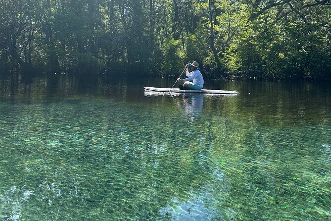 ECO adventure to Cypress Springs by Paddle Board or Kayak - Introducing the Cypress Springs Eco Adventure by Paddle Board or Kayak