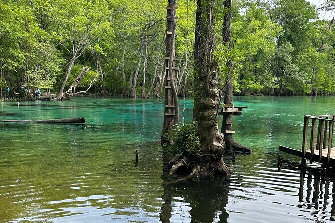 ECO adventure to Cypress Springs by Paddle Board or Kayak - Key Points