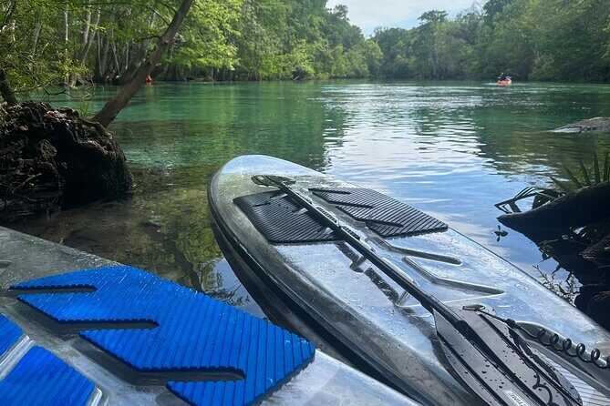 ECO adventure to Cypress Springs by Paddle Board or Kayak - The Sum Up: Who Will Love This Tour?