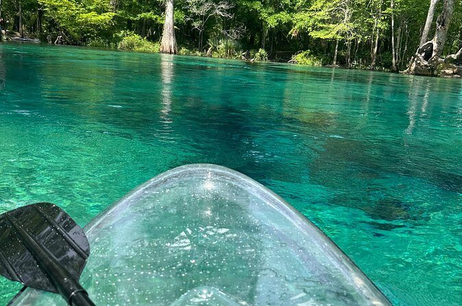 ECO adventure to Cypress Springs by Paddle Board or Kayak - FAQ: Common Questions about the Cypress Springs Eco Adventure