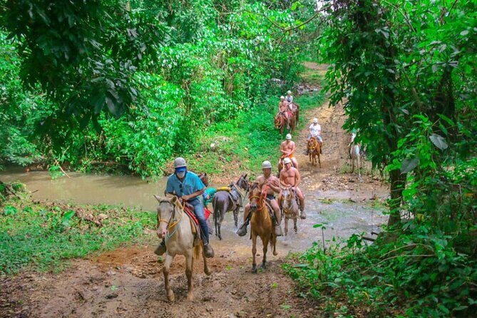 Eco Aventure Park+ Zipline+Horseback Ride+Buggy - Who Is This Tour Best For?