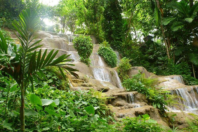 Eco Explorers Waterfall, Rainforest, local Shopping with lunch - The Sum Up