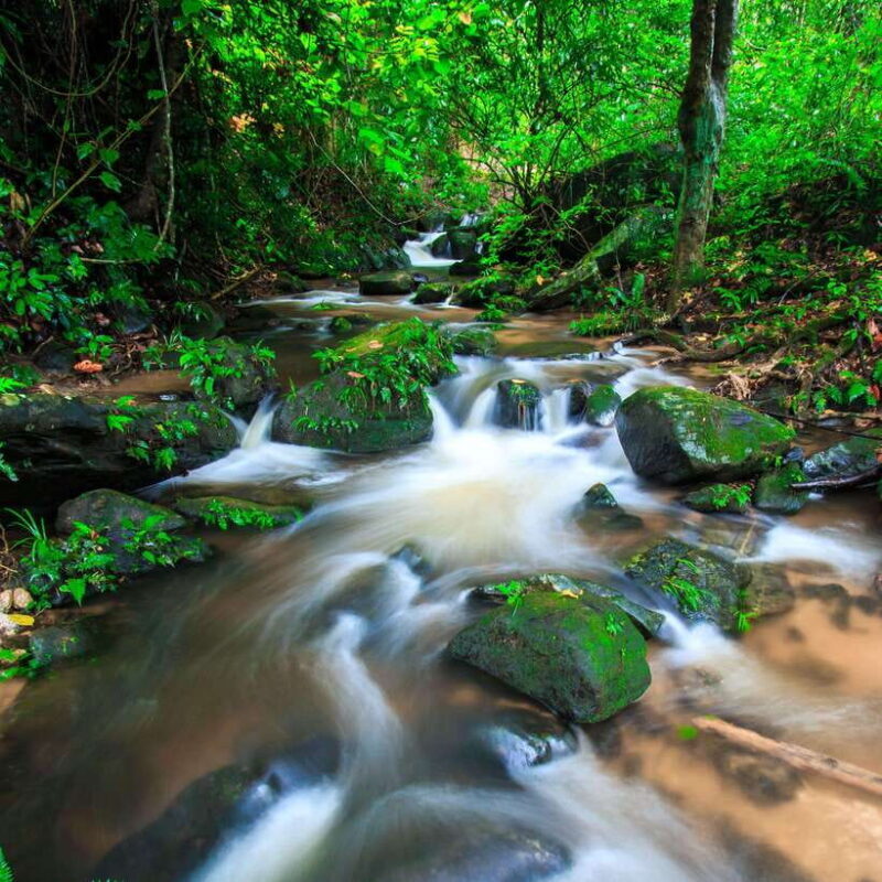 Eco-Friendly: Doi Inthanon & Pha Dok Siew Trekking Day Trip - An Honest Look at the Doi Inthanon & Pha Dok Siew Day Trip