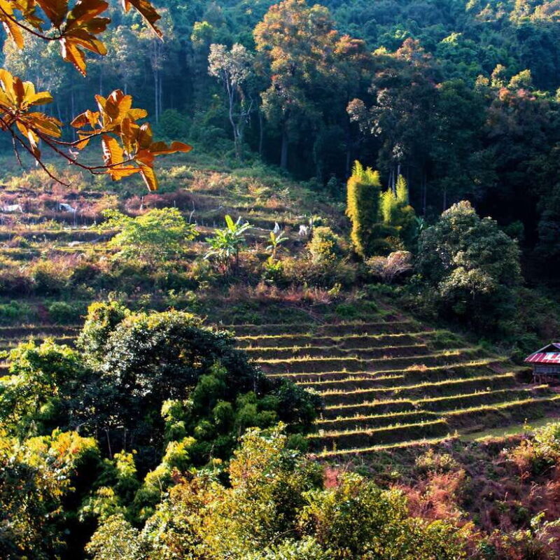 Eco-Friendly: Doi Inthanon & Pha Dok Siew Trekking Day Trip - Concluding Thoughts