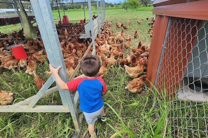 Eco Friendly Farming Tour to Explore Dorado's Most Beautiful Farm - Who Should Consider This Tour?