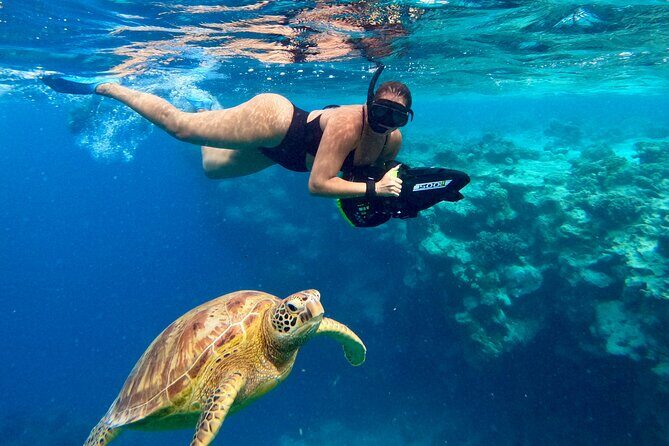 Eco Friendly Sea Scooter Turtle Tour in Rarotonga - Group Size and Personal Service