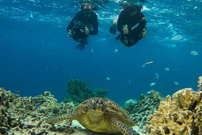 Eco Friendly Sea Scooter Turtle Tour in Rarotonga - Who Will Love This Experience?