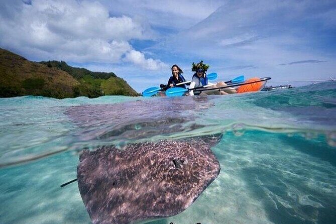 Eco guided excursion to the lagoon of Moorea in transparent kayak 1/2 day morning - Detailed Itinerary Breakdown