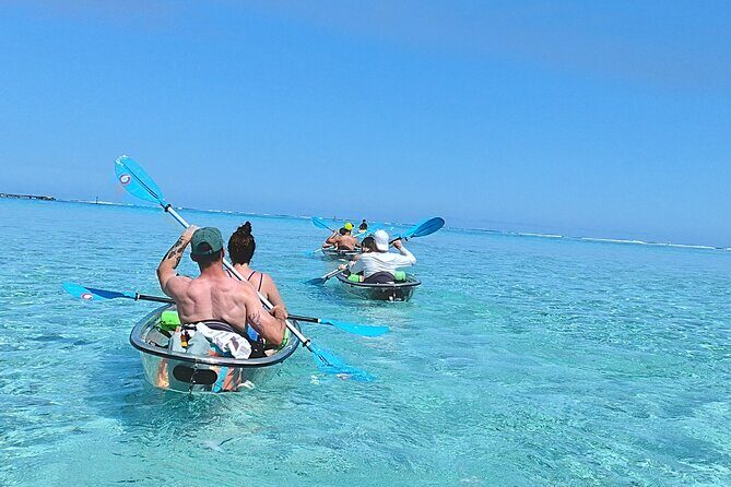 Eco Kayak Excursion in Moorea Lagoon for a Day - Key Points