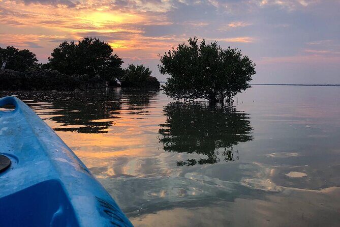 Eco Kayaking Adventure Mangrove Exploration at Purple Island - Exploring the Eco Kayaking Adventure at Purple Island: A Natural Gem Just Outside Doha