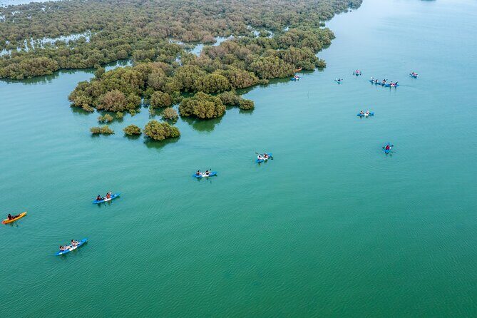 Eco Kayaking Adventure Mangrove Exploration at Purple Island - What Travelers Say