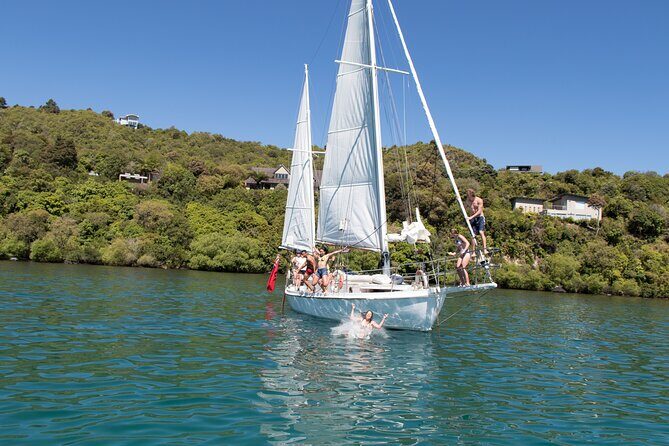 Eco Sailing Tour to Maori Rock Carvings on Lake Taupo - The Experience: What You Can Expect