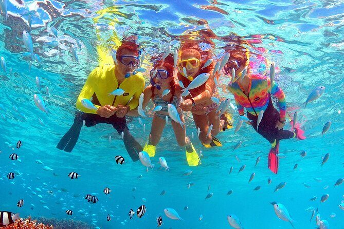 Eco Snokeling in Piti Bay Marine - What Is the Eco Snorkeling in Piti Bay Marine Tour?
