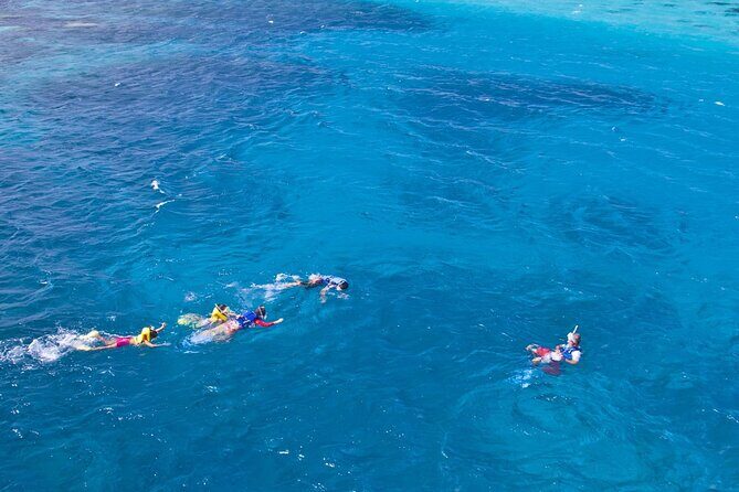 Eco Snokeling in Piti Bay Marine - The Itinerary in Detail