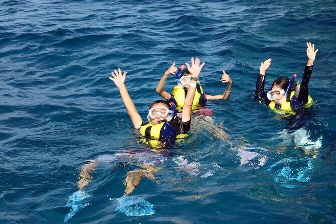 Eco Snokeling in Piti Bay Marine - Practical Tips for Participants