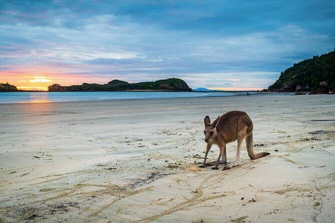 Eco Wildlife Two-Day Tour Platypus & Kangaroos - FAQ