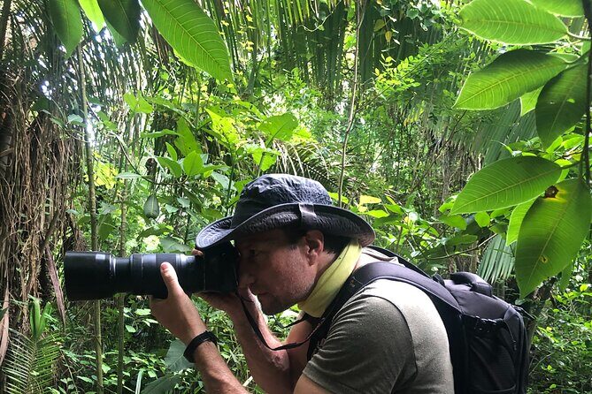EcoHike experience through the jungle, mountains and hidden beach - Value and Pricing