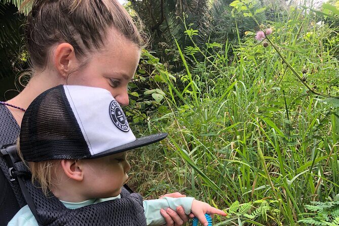 EcoHike experience through the jungle, mountains and hidden beach - Practical Tips for Participants