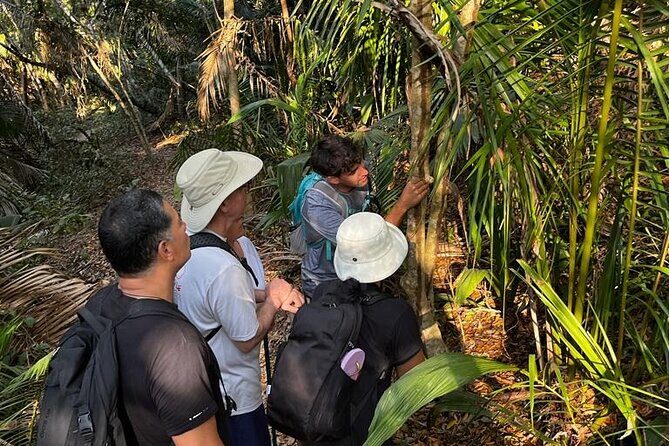 EcoHike experience through the jungle, mountains and hidden beach - The Sum Up: Who Will Love This Tour?