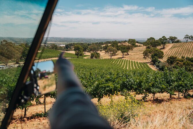 EcoVine Explorer Vineyard E-Cart Tours - An In-Depth Look at Lambert Estate’s EcoVine E-Cart Tour