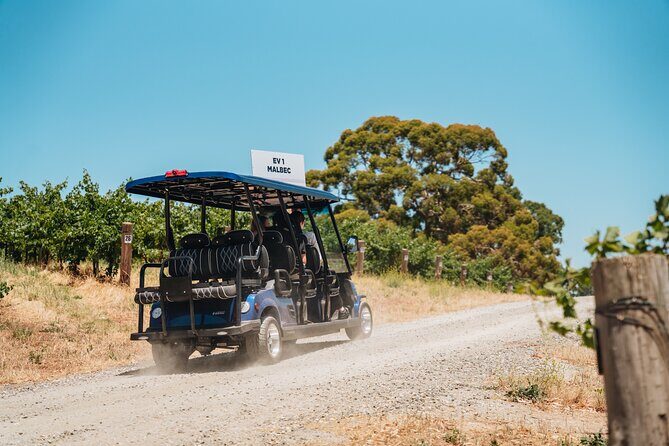 EcoVine Explorer Vineyard E-Cart Tours - Frequently Asked Questions