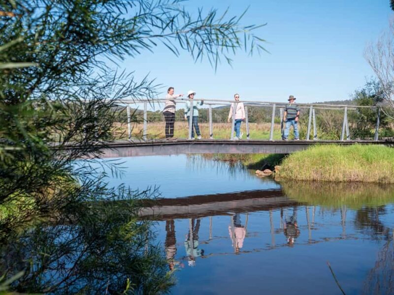 Eden: Panboola Wetlands and Potoroo Palace Tour with Lunch - Key Points