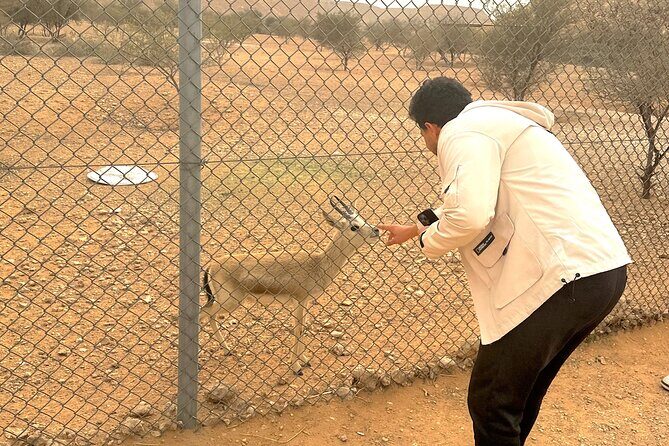 Edge of The World & Deer Reserve Off-road 4x4 Car Tour in Riyadh - Why This Tour Stands Out