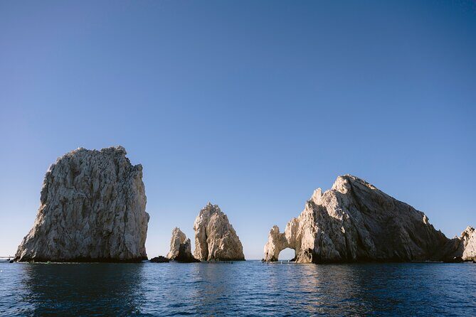 Educational Sunrise Whale Watching with Photos Included - The Bottom Line