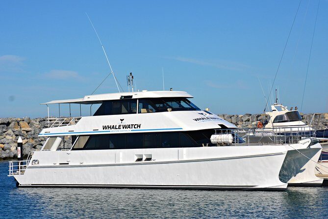Educational Whale Watching Tour from Perth - Key Points
