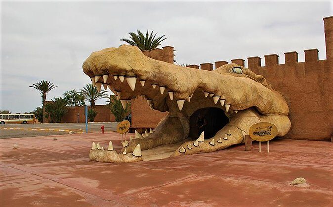Effortless Agadir Crocoparc Ticket and Transfer Service - Why Visit Crocoparc? An Authentic Wildlife Encounter in Agadir