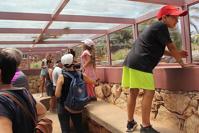 Effortless Agadir Crocoparc Ticket and Transfer Service - Visitor Experience and Authenticity