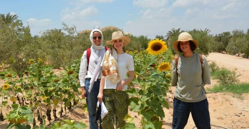 Egypt Countryside day tour - A Closer Look at the Egypt Countryside Day Tour