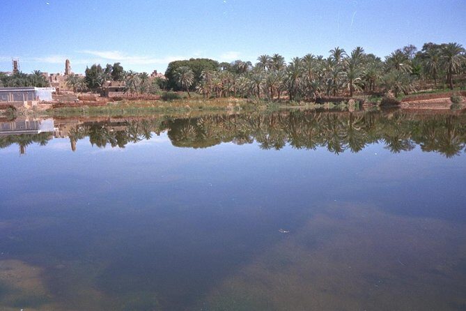 Egypt Desert Safari from Luxor Private - Pricing & Value