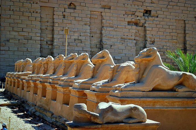 Egypt trip package for 8 nights with tours and a Nile cruise trip - Authentic Experiences and Practical Tips