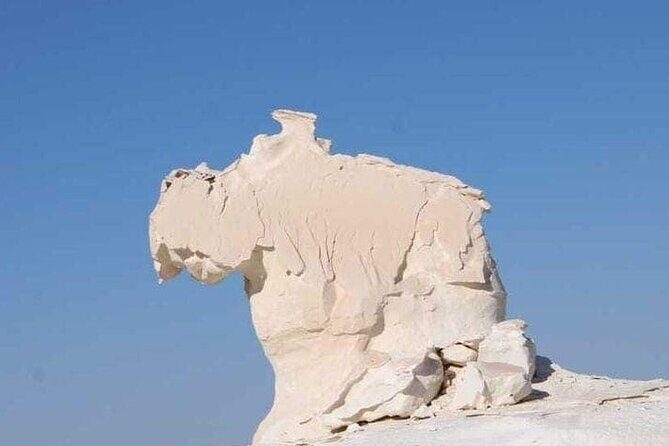 Egypt White Desert [2days / 1 Night] - The Comfort and Practicalities